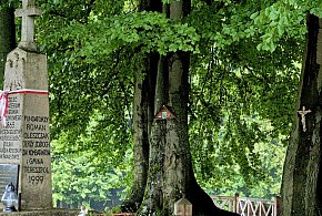 Narodowe świętowanie z LGD Silne Biłgorajskie-58028