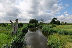 Co dalej z nowym parkiem narodowym? Minister klimatu zdradza plan po wecie-58132