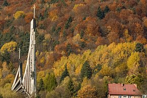 Mam na imię Bożena. Wolontariuszką zostałam kilka miesięcy temu-58145