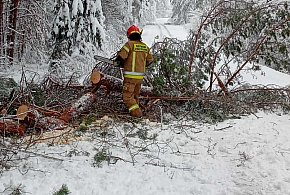 183 interwencje w 3 dni. Intensywne opady śniegu testem gotowości strażaków-58455
