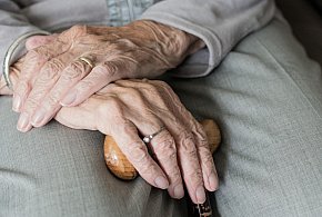 Te osoby dostaną dwie emerytury w grudniu. ZUS przesuwa przelewy-58505