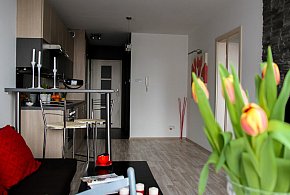 Rewolucja w wynajmie na doby. Nadchodzi koniec "wolnej amerykanki"-58911