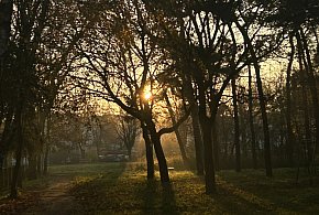 Nadchodzi najkrótszy dzień w 2025 roku. Sprawdź, kiedy przypadnie-59432