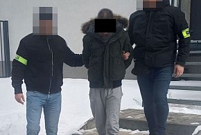 Zlikwidowana nielegalna plantacja marihuany. 41-latek tymczasowo aresztowany VIDEO