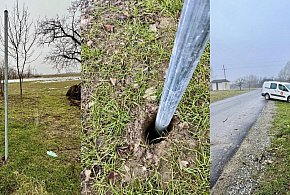 Kradzież czy skrajna nieodpowiedzialność? Gmina Aleksandrów wyznacza nagrodę