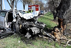 Skoda uderzyła w przydrożne drzewo. 50-latek z powiatu biłgorajskiego w szpitalu