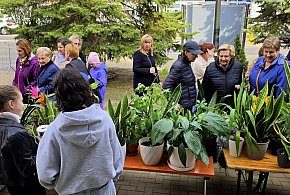 Wiosenny gest solidarności: Za nami charytatywny kiermasz roślin w Biłgoraju