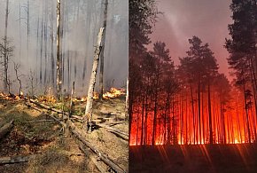 Tragedia pod Biłgorajem. Podsumowanie tego co wiemy o pożarze i katastrofie