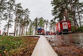 Wiceminister MSWiA: Pożar w Puszczy Solskiej wciąż groźny