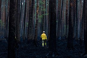 Przełom w Puszczy Solskiej. Pożar opanowany, trwa dogaszanie