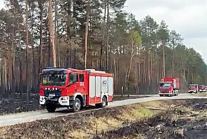 Misja zakończona. Małopolscy strażacy wyjechali z Puszczy Solskiej