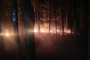 Nocna walka z ogniem w Księżpolu. Las znów stanął w płomieniach