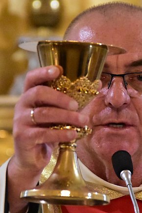 Krew pokoleń za wolność: Gmina Biłgoraj świętuje 107. rocznicę niepodległości-14118