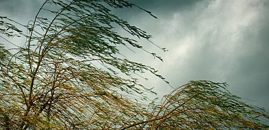 Ostrzeżenie pierwszego stopnia dla Biłgoraja i okolic