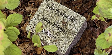 Biłgoraj nie chce zerwać współpracy z izraelską Afulą