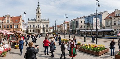 Kultura i tradycja: Jak Biłgoraj dba o swoje dziedzictwo w dobie nowoczesności?