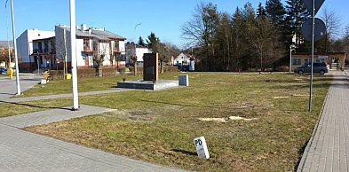 18 drzew ustępuje miejsca nowym nasadzeniom. Tarnogród szykuje...