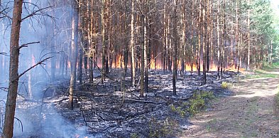Lubelscy leśnicy rozpoczęli sezon przeciwpożarowy oraz wiosenną kampanię sadzenia