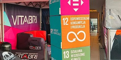 Kostki reklamowe z nadrukiem – mobilna forma promocji, która przyciąga uwagę