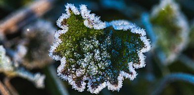 Ostrzeżenie pierwszego stopnia dla Biłgoraja i okolic