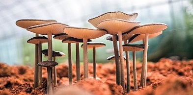 Nietypowe hobby, które możesz zacząć w domu