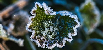 Ostrzeżenie pierwszego stopnia dla Biłgoraja i okolic