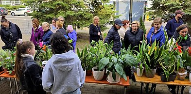 Wiosenny gest solidarności: Za nami charytatywny kiermasz roślin w Biłgoraju