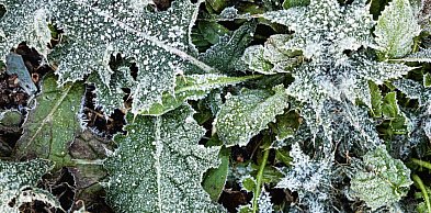 Ostrzeżenie pierwszego stopnia dla Biłgoraja i okolic