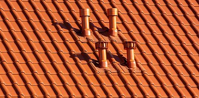 Czy po szkodach od kuny trzeba naprawiać cały dach? Nie zawsze, ale trzeba wiedzie