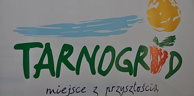 Wybory uzupełniające do Rady Miejskiej w Tarnogrodzie