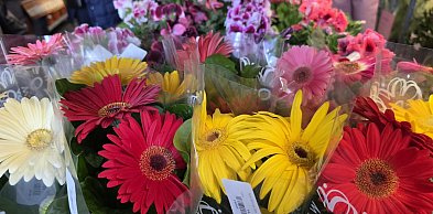 Raj dla miłośników roślin. Wielkie Targi Roślin 2026 trwają w Biłgoraju!