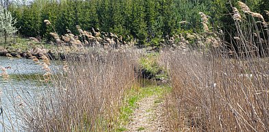 Ostrzeżenie pierwszego stopnia dla Biłgoraja. Uwaga na wiosenną aurę