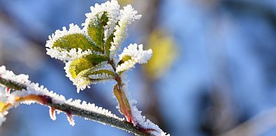Kto myślał, że wiosna na stałe się u nas zadomowiła, zdziwi się
