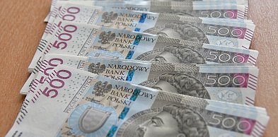 Historyczny rekord świata! Pomagali mieszkańcy Ziemi Biłgorajskiej