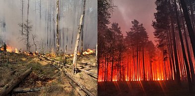 Tragedia pod Biłgorajem. Podsumowanie tego co wiemy o pożarze i katastrofie