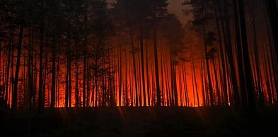 Katastrofa podczas gaszenia lasu. Samolot gaśniczy spadł pod Józefowem (VIDEO)
