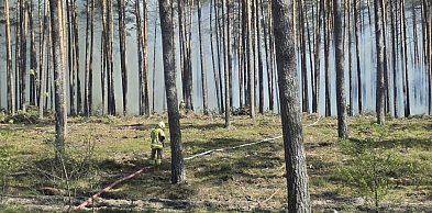 Józefów. Są dobre informacje z rejonu pożaru pożar "opanowany"
