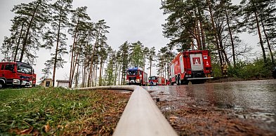 Wiceminister MSWiA: Pożar w Puszczy Solskiej wciąż groźny