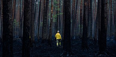 Przełom w Puszczy Solskiej. Pożar opanowany, trwa dogaszanie