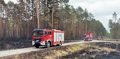 Misja zakończona. Małopolscy strażacy wyjechali z Puszczy Solskiej