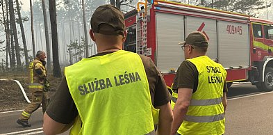 Sódmy dzień walki w Puszczy Solskiej. Strażacy dogaszają pogorzelisko