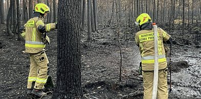 Pogorzelisko w Puszczy Solskiej znów niebezpieczne. Służby w akcji