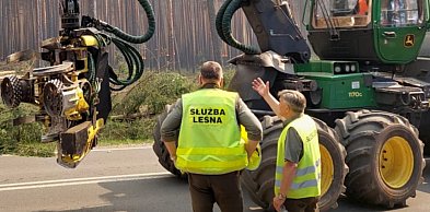 Krajobraz po katastrofie. Lasy Państwowe ratują Puszczę Solską