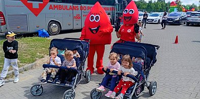 Nauczyciele na scenie, krwiobus pod szkołą. Sukces we Frampolu