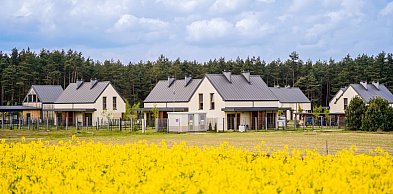 Wakacje na Jurze: domki blisko natury, skałek i rodzinnych atrakcji