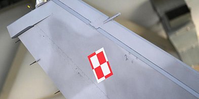 Dowództwo Operacyjne RSZ: polska przestrzeń powietrzna wielokrotnie naruszona-56100