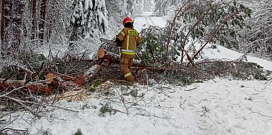 183 interwencje w 3 dni. Intensywne opady śniegu testem gotowości strażaków-58455