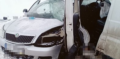 Śmiertelny wypadek na trasie Tarnogród - Różaniec-60049