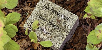 Biłgoraj nie chce zerwać współpracy z izraelską Afulą