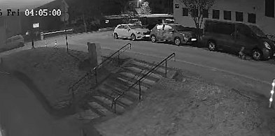 Czy rozpoznajesz te psy? (VIDEO)